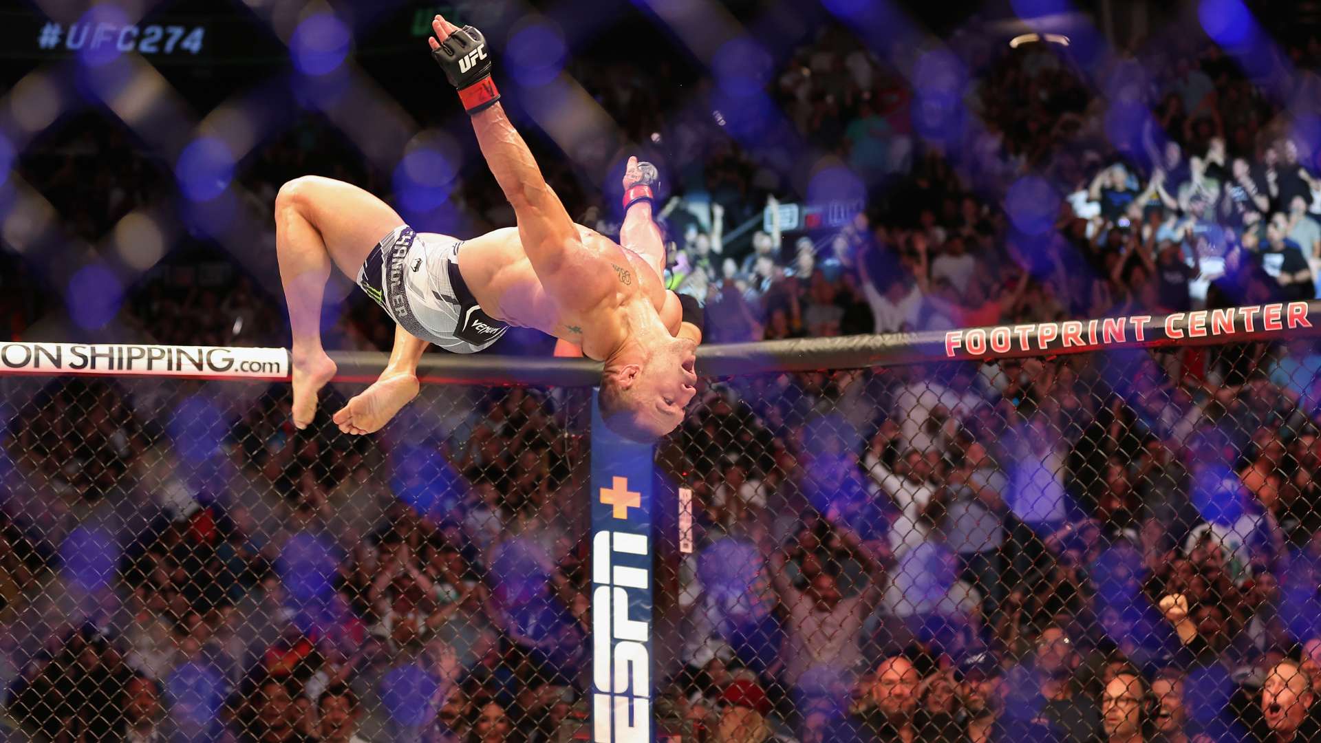 吸引了全球 吸引了全球